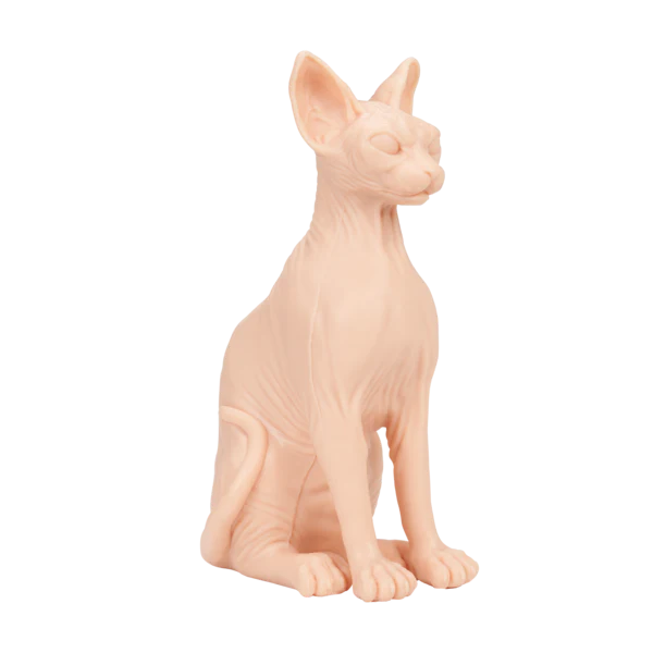 A Pound of Flesh - Sphynx Naked Cat